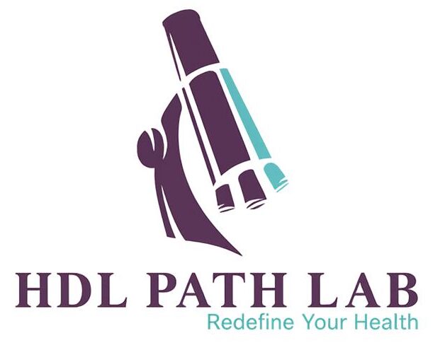 HDL Logo PNG_1